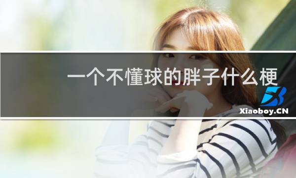一个不懂球的胖子什么梗图片