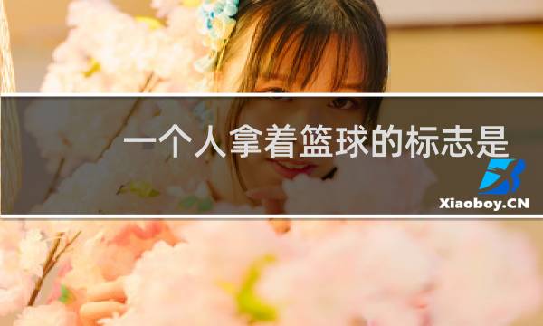 一个人拿着篮球的标志是什么牌子图片