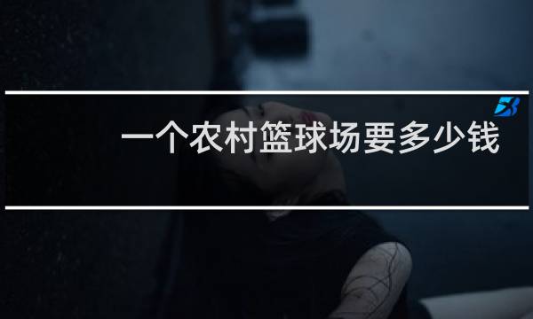 一个农村篮球场要多少钱图片