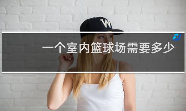 一个室内篮球场需要多少元图片