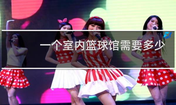 一个室内篮球馆需要多少钱图片