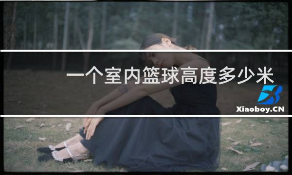 一个室内篮球高度多少米合适图片
