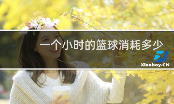 一个小时的篮球消耗多少图片