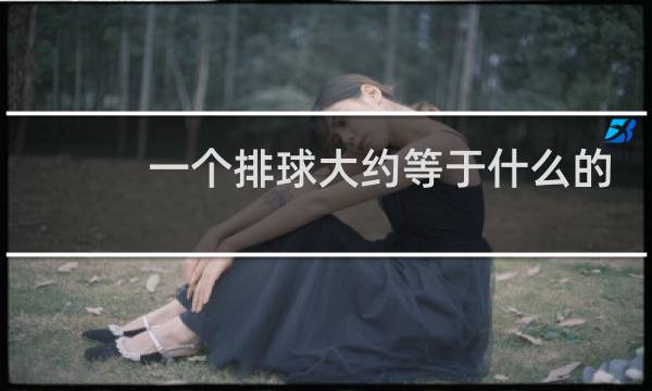 一个排球大约等于什么的重量图片