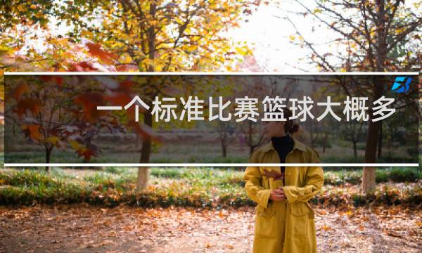 一个标准比赛篮球大概多少克图片