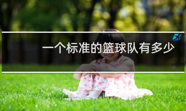 一个标准的篮球队有多少人图片