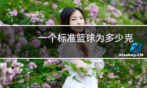 一个标准篮球为多少克图片
