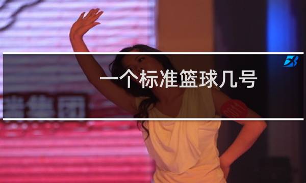 一个标准篮球几号图片