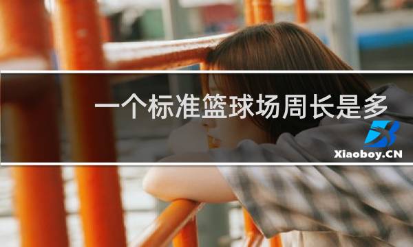 一个标准篮球场周长是多少图片