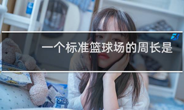 一个标准篮球场的周长是多少图片