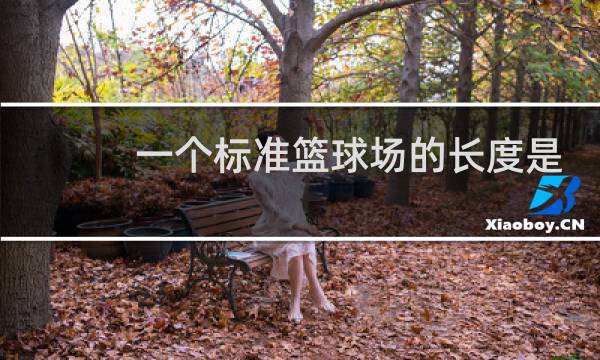 一个标准篮球场的长度是多少图片