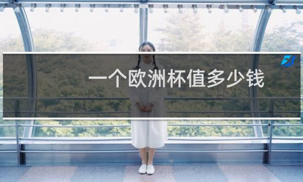 一个欧洲杯值多少钱图片