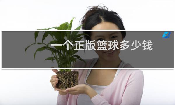 一个正版篮球多少钱图片