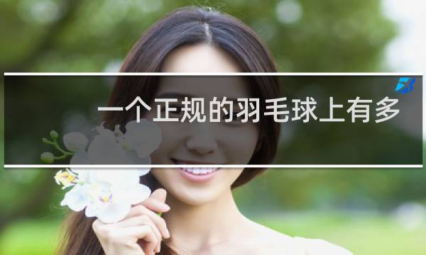一个正规的羽毛球上有多少根羽毛图片