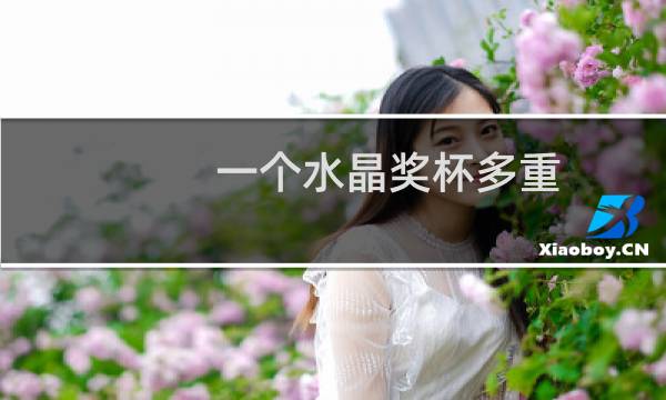 一个水晶奖杯多重图片