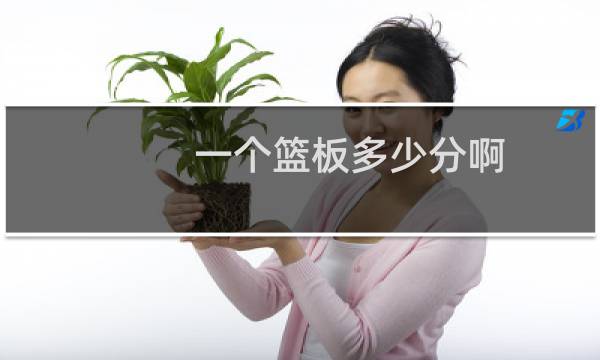 一个篮板多少分啊图片