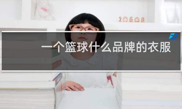 一个篮球什么品牌的衣服图片
