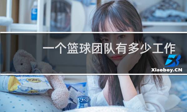 一个篮球团队有多少工作人员图片