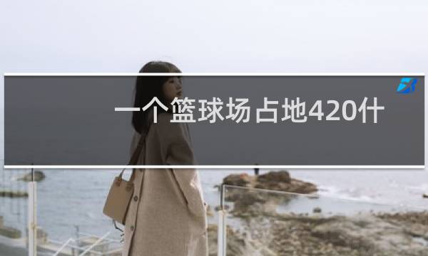一个篮球场占地420什么单位图片