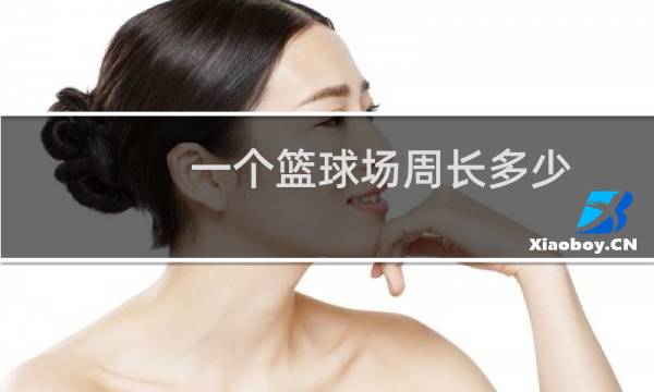 一个篮球场周长多少图片