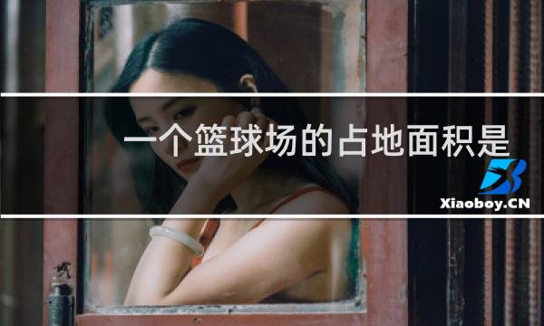 一个篮球场的占地面积是420什么单位图片