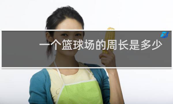 一个篮球场的周长是多少米图片