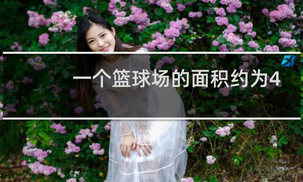 一个篮球场的面积约为4什么图片