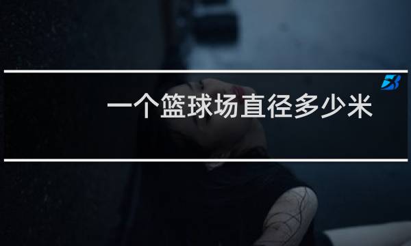 一个篮球场直径多少米图片