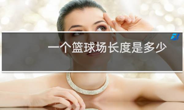 一个篮球场长度是多少图片