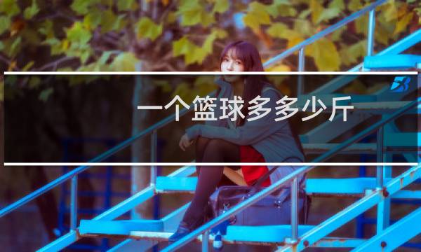 一个篮球多多少斤图片