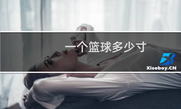 一个篮球多少寸图片