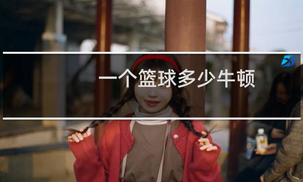 一个篮球多少牛顿图片
