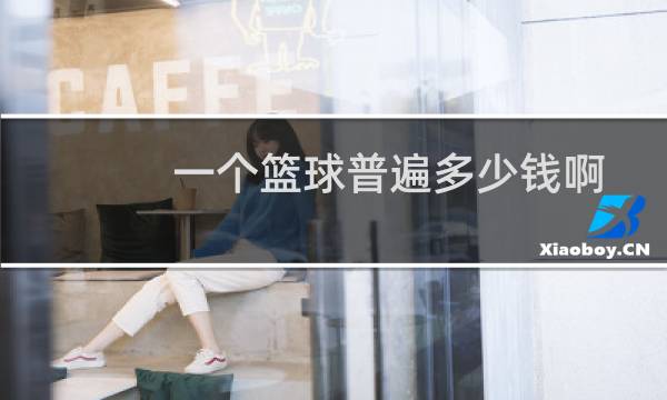 一个篮球普遍多少钱啊图片