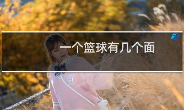 一个篮球有几个面图片