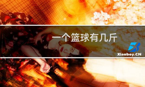 一个篮球有几斤图片