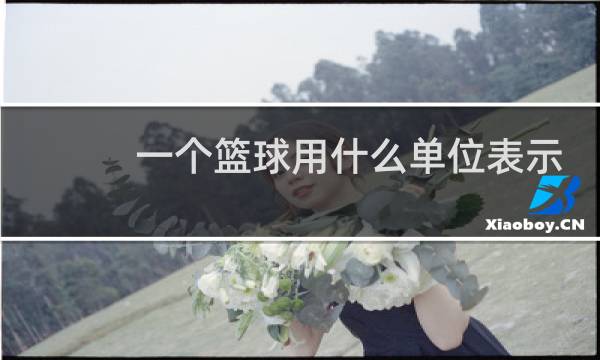 一个篮球用什么单位表示图片