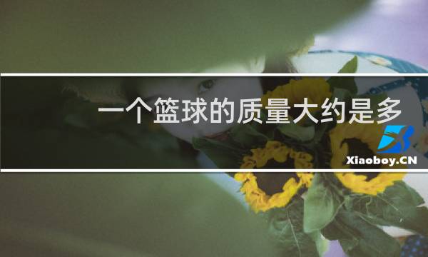 一个篮球的质量大约是多少图片