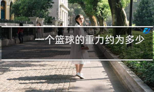 一个篮球的重力约为多少图片