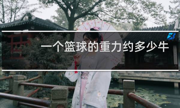 一个篮球的重力约多少牛图片