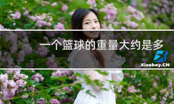 一个篮球的重量大约是多少千克图片