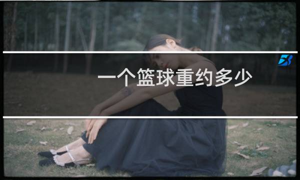 一个篮球重约多少图片