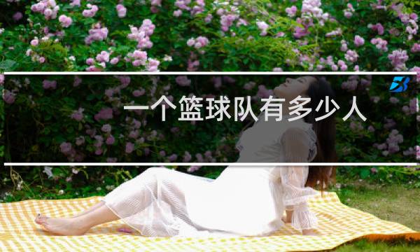 一个篮球队有多少人图片
