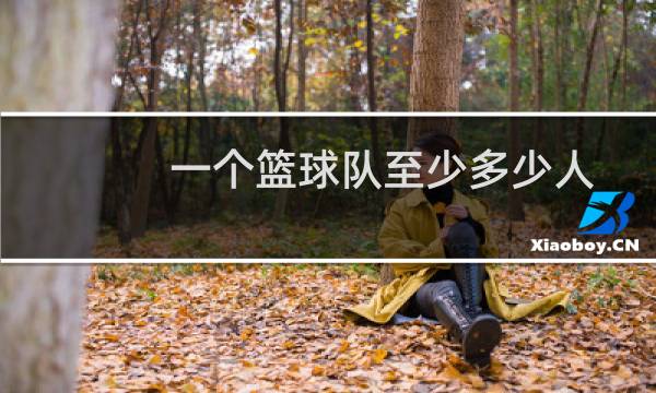 一个篮球队至少多少人图片