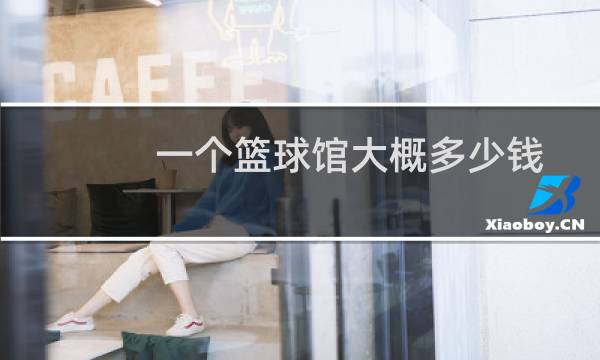 一个篮球馆大概多少钱图片