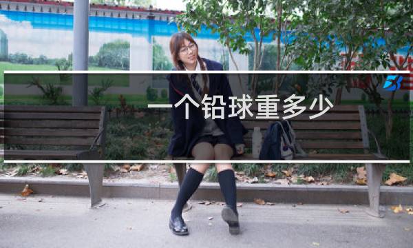 一个铅球重多少图片