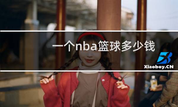 一个nba篮球多少钱图片