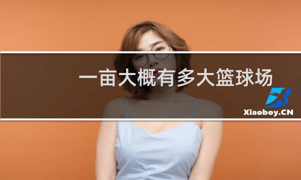 一亩大概有多大篮球场图片