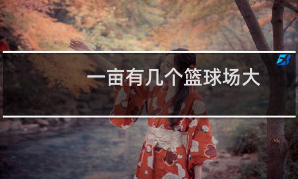 一亩有几个篮球场大图片