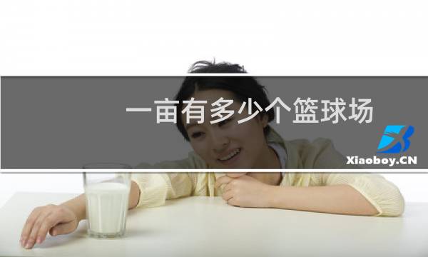 一亩有多少个篮球场图片