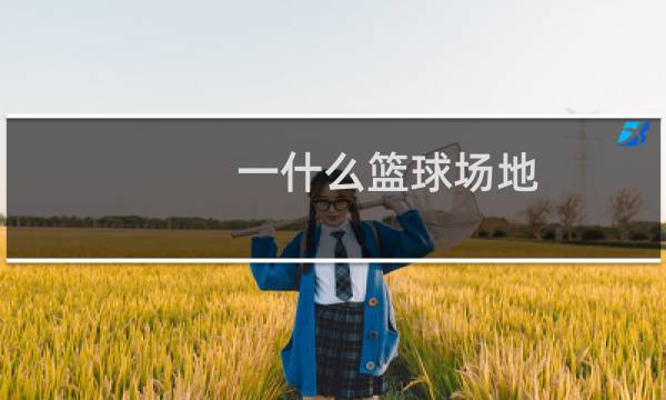 一什么篮球场地图片